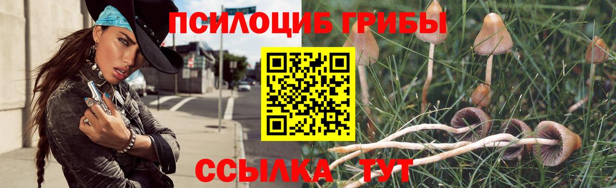 Псилоцибиновые грибы прущие грибы  Галлюциногенные грибы GOLDEN TEACHER  Вход с VPN  Кушва 